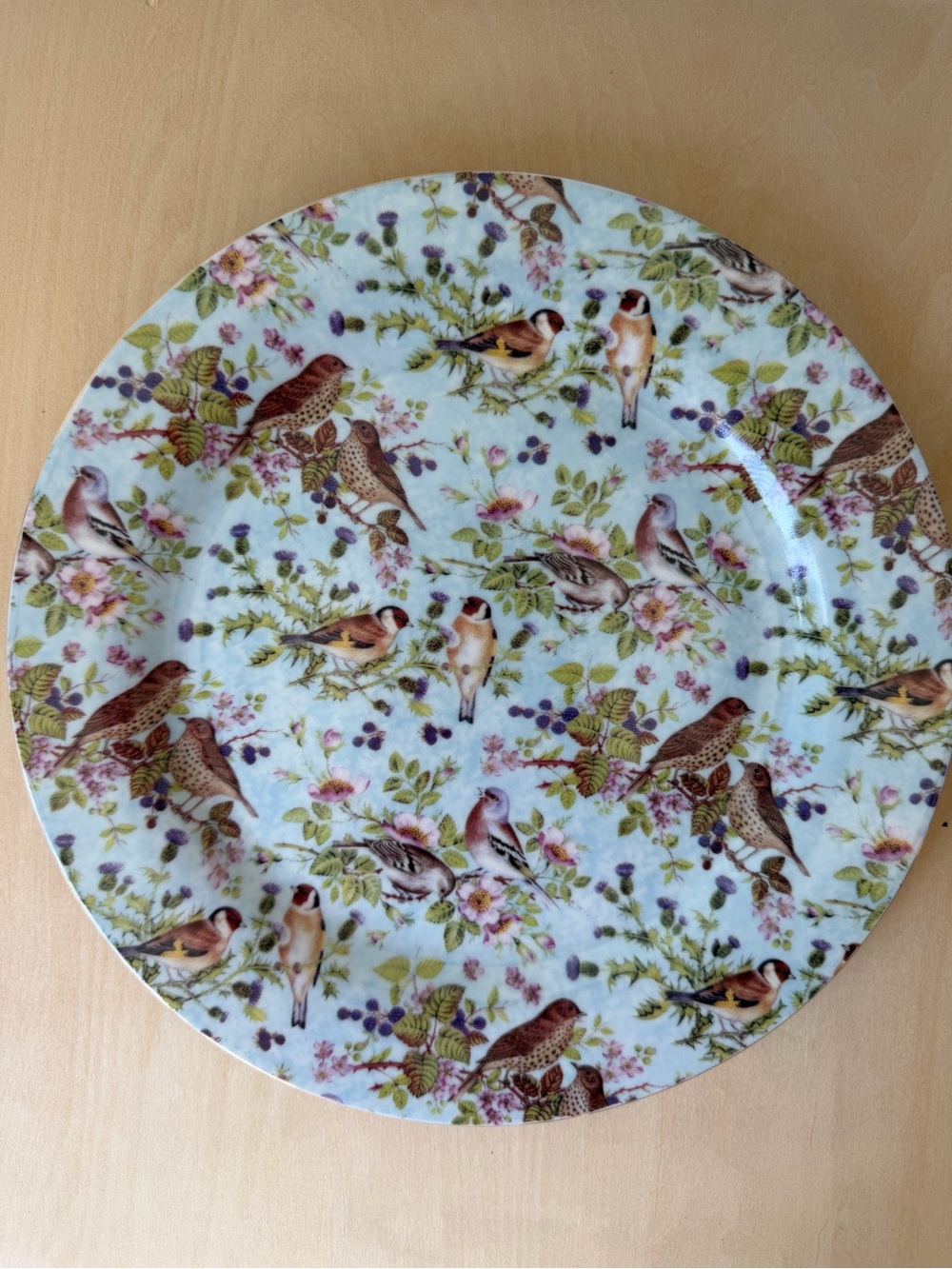 Decorative Bird Pattern Ceramic Plate - Set of 2